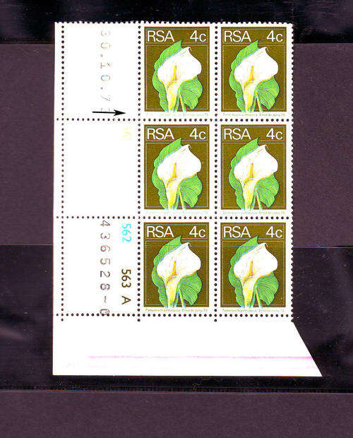 RSA Varieties & Errors