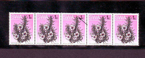 SWA varieties & Errors