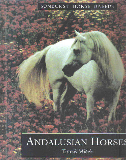 Sunburst Horse Breeds Series  -- Andalusian Horses