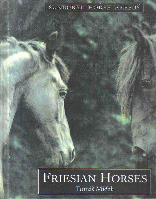 Sunburst Horse Breeds Series  -- Friesian Horses