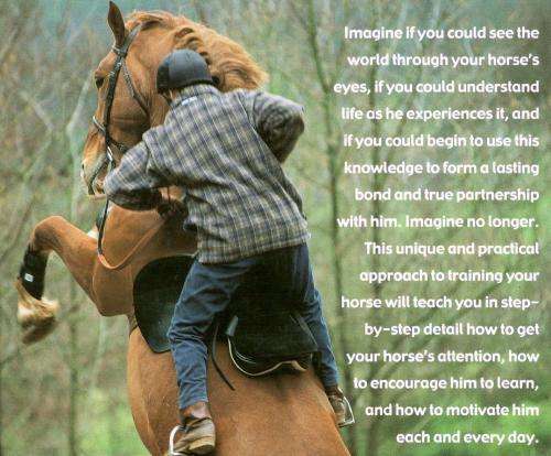 Think Like Your Horse  --  Michael Peace and Lesley Bayley