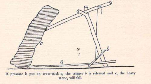 The Bavenda  --  Hugh A Stayt