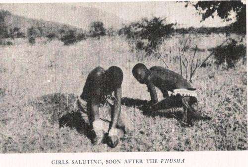 The Bavenda  --  Hugh A Stayt