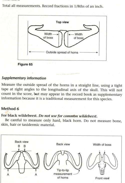 Hunting Africa - A Practical Guide  -  GP Swan DJ Botes PL Smit