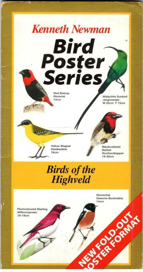 Kenneth Newman Bird Poster Series - Birds of the Highveld