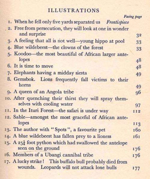 African Buffalo Trails  -  John F Burger