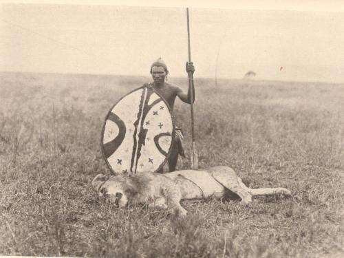 Safari - A Saga of the African Blue  --  Martin Johnson