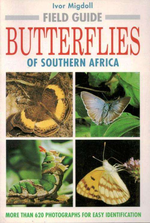 Field Guide Butterflies of Southern Africa  --  Ivor Migdol
