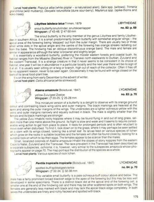 Field Guide Butterflies of Southern Africa  --  Ivor Migdol