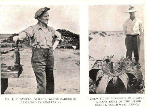 Secret Africa  --  Lawrence Green