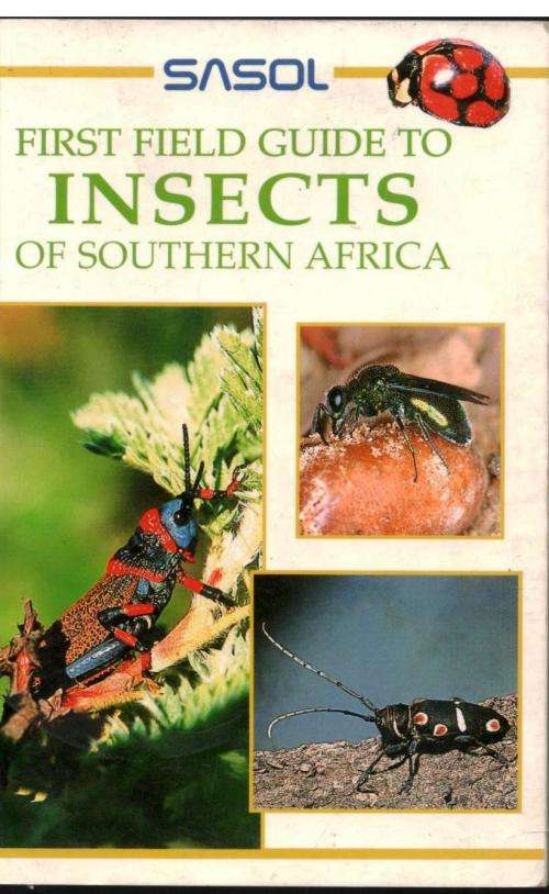 Sasol First Field Guide to Insects of Southern Africa