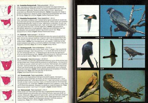 Ian Sinclair se Veldgids tot die Voels van Suider-Afrika