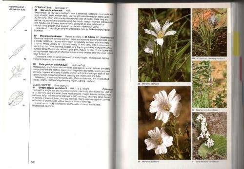 Field Guide to the Wild Flowers of the Highveld - Braam v Wyk and Sasa Malan