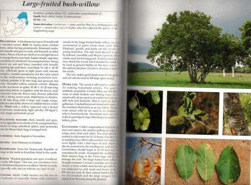 Making the Most of Indigenous Trees  --  Fanie and Julye-Ann Venter