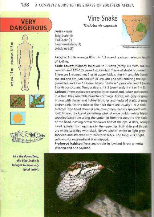 A Complete Guide to the Snakes of Southern Africa  -- Johan Marais