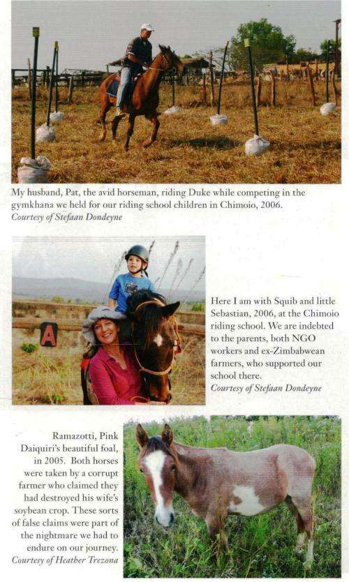 One Hundred and Four Horses  --  Mandy Retzlaff  -  Rhodesiana