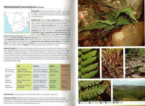 Ferns of Southern Africa  -  Crouch / Klopper /Burrows / Burrows