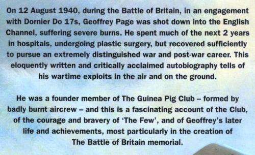 Shot Down in Flames  --  Geoffrey Page