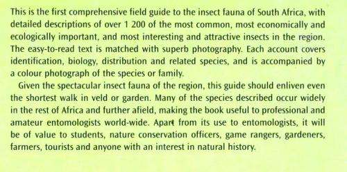 Field Guide to Insects of South Africa -- Picker, Griffiths and Weaving