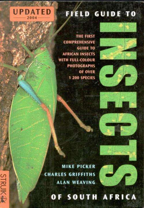 Field Guide to Insects of South Africa -- Picker, Griffiths and Weaving