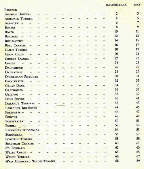 Aristocrats of the Show-Ring in South Africa  -  Alex Stevenson