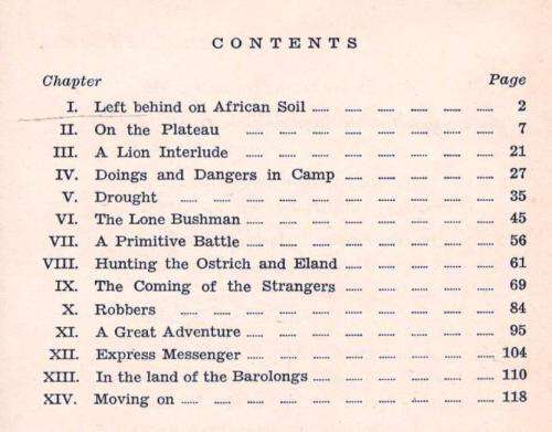 Land of Distant Horizons  -  Victor Pohl