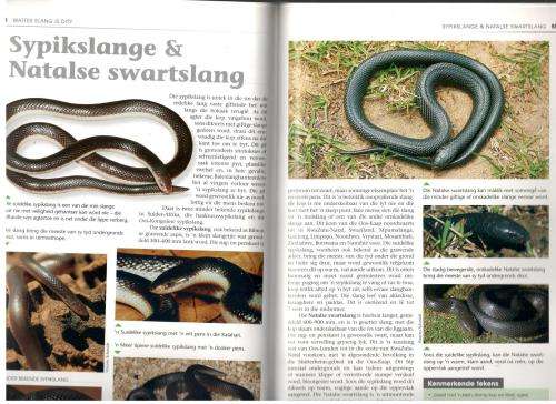 Watter Slang is Dit  =  Johan Marais