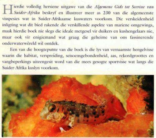Algemene Gids tot die Seevisse van Suider-Afrika - Rudi van der Elst en Dennis King