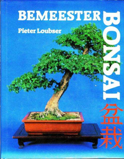 Bemeester Bonsai  -  PieterLoubser