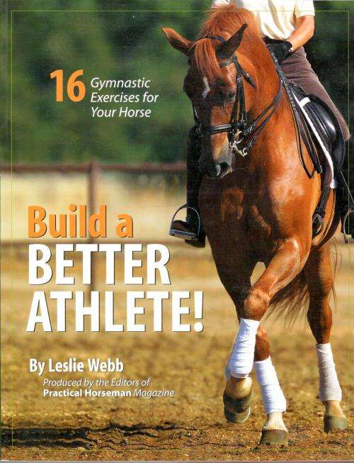 16 Gymnastic Exercises for Your Horse  - Build a Better Athlete - Leslie Webb