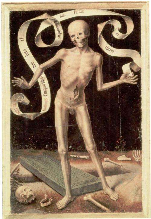 Gothic - The Evolution of a Dark Subculture  - Chris Roberts, Livingstone and Baxter-Wright