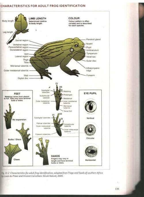 Nature Guide Learner Manual  --  Grant and Gillie Hine