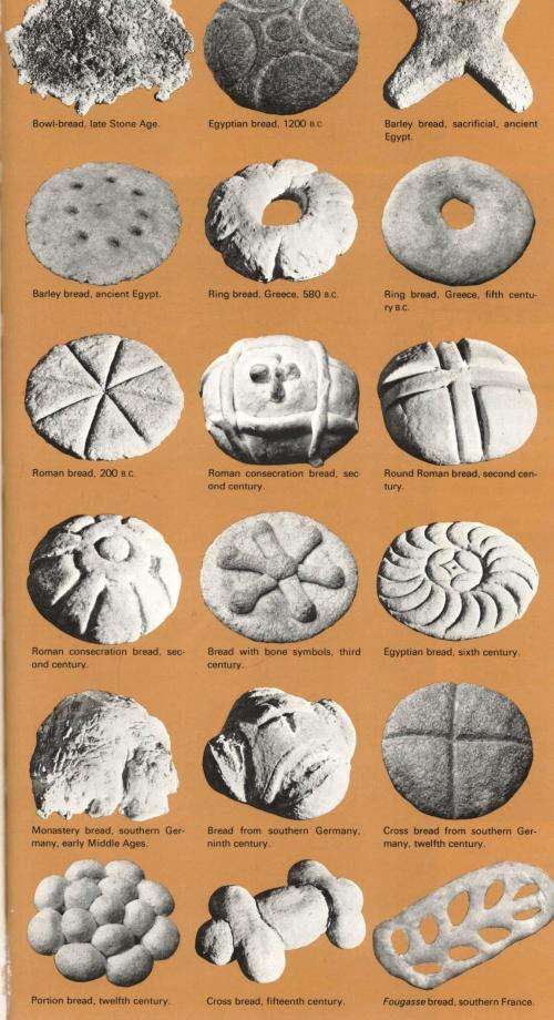 The Power of Plants  --   Brandan Lehane