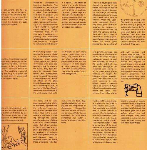 The Power of Plants  --   Brandan Lehane