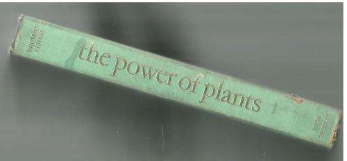The Power of Plants  --   Brandan Lehane