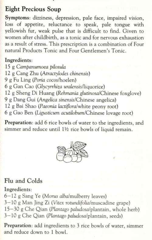 Chinese Herbal Medicine  - Steven Tang and Richard Craze