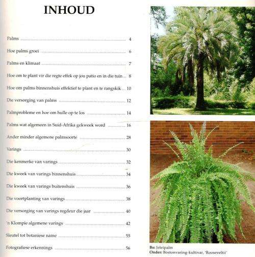 'n Praktiese Gids oor Palms en Varings vir die Suid-Afrikaanse Huis en Yuin