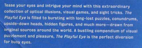 The Playful Eye  --  Julian Rothenstein and Mel Godding