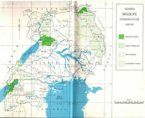 The Shamba Raiders  -  Bruce Kinloch