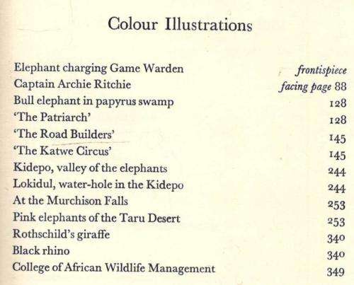 The Shamba Raiders  -  Bruce Kinloch