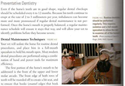 The Comprehensive Guide to Equine Veterinary Medicine  --  Barb Crabble