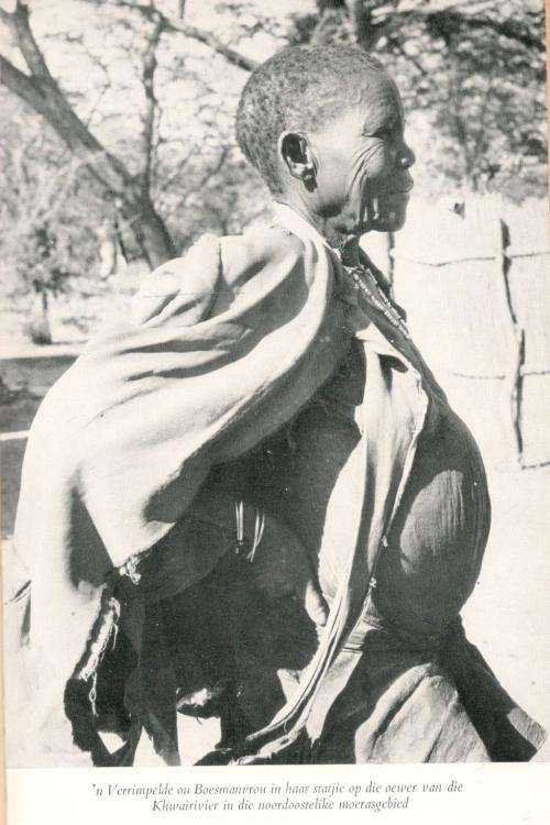 Volk van Fabels --  Clive Cowley