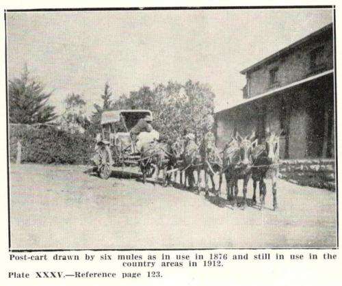 Sparks from the Border Anvil  -  A W Burton