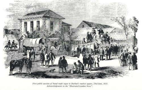 Valiant Harvest - The Founding o9f the South African Suger Industry 1848 - 1926