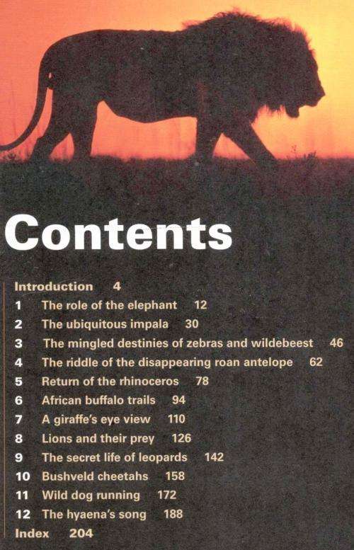 Shaping Kruger  --  Mitch Reardon