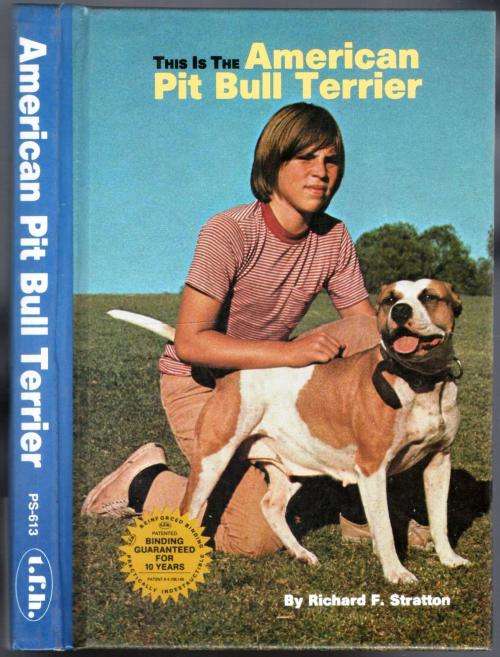 American Pit Bull Terrier  - Richard F Stratton