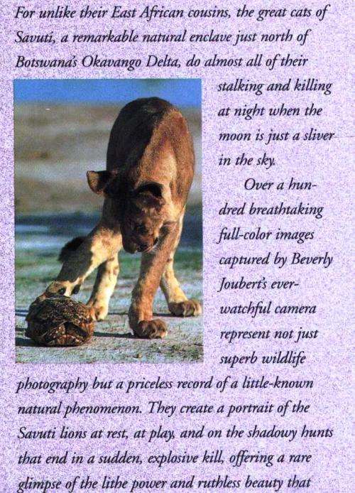 The Lions of Savuti - Hunting with the Moon - Dereck and Beverly Joubert