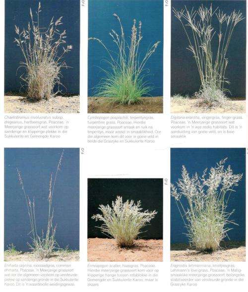 Karooveld - Ekologie en Bestuur - Esler Milton en Dean