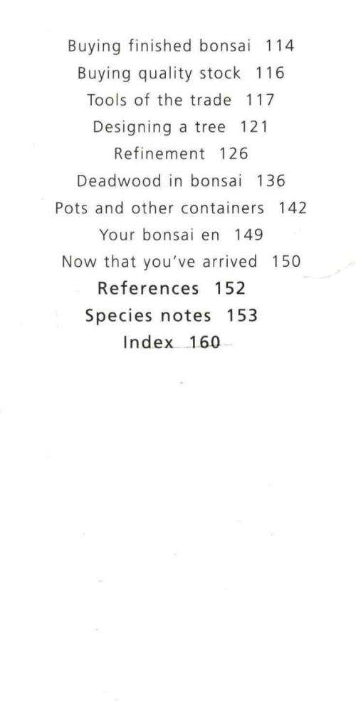 Bonsai Success in Southern Africa  -  Carl Morrow and Keith Kirsten