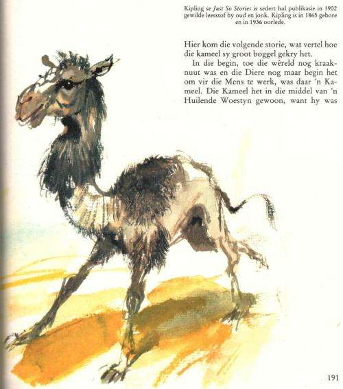 My Groot Sprokiesboek